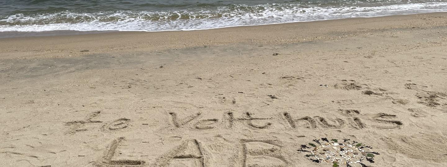 Lab logo beach