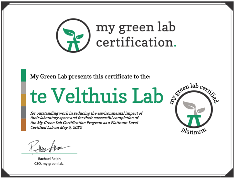 green lab